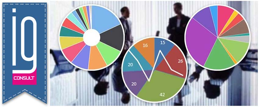 Мультилэндинг консалтингового агентства IG Consult